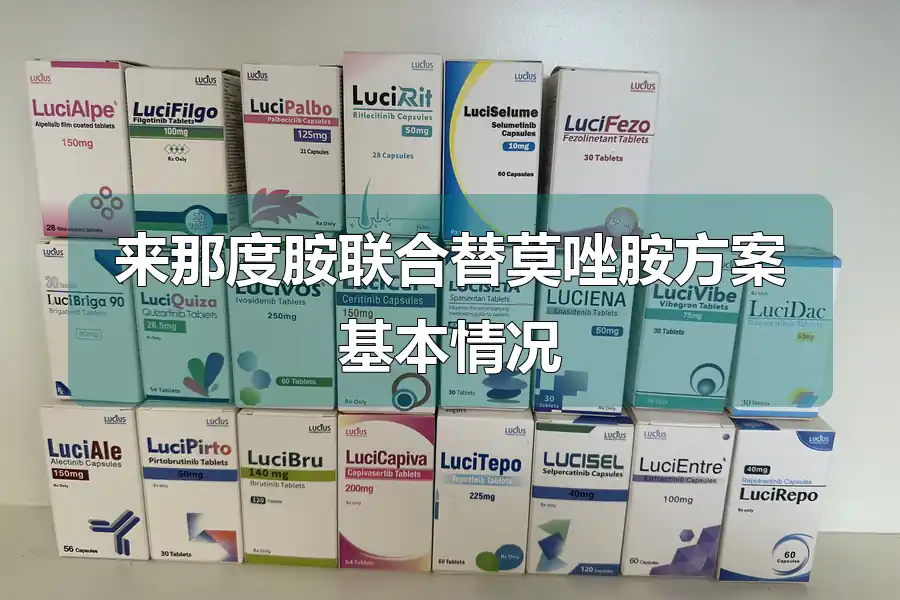 来那度胺联合替莫唑胺方案基本情况