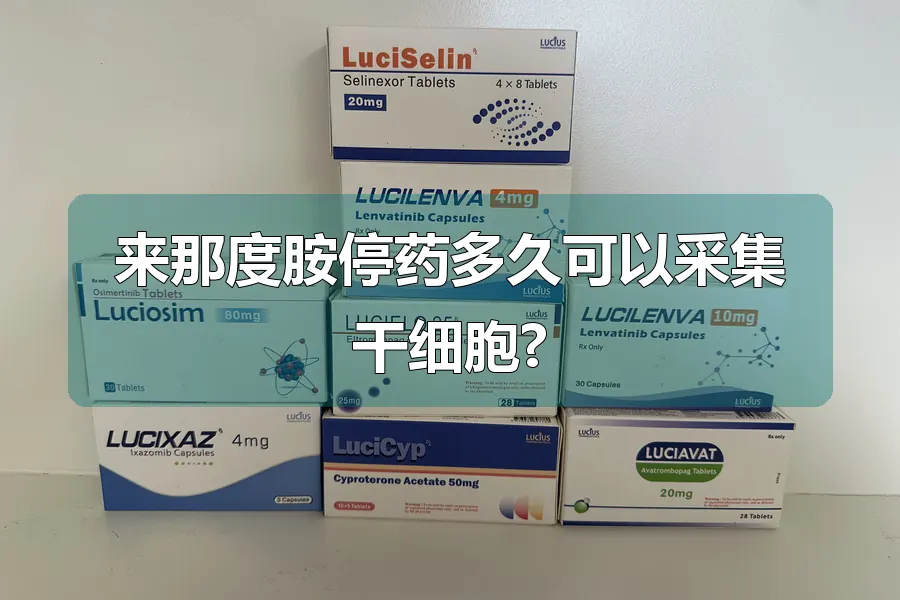 来那度胺停药多久可以采集干细胞?